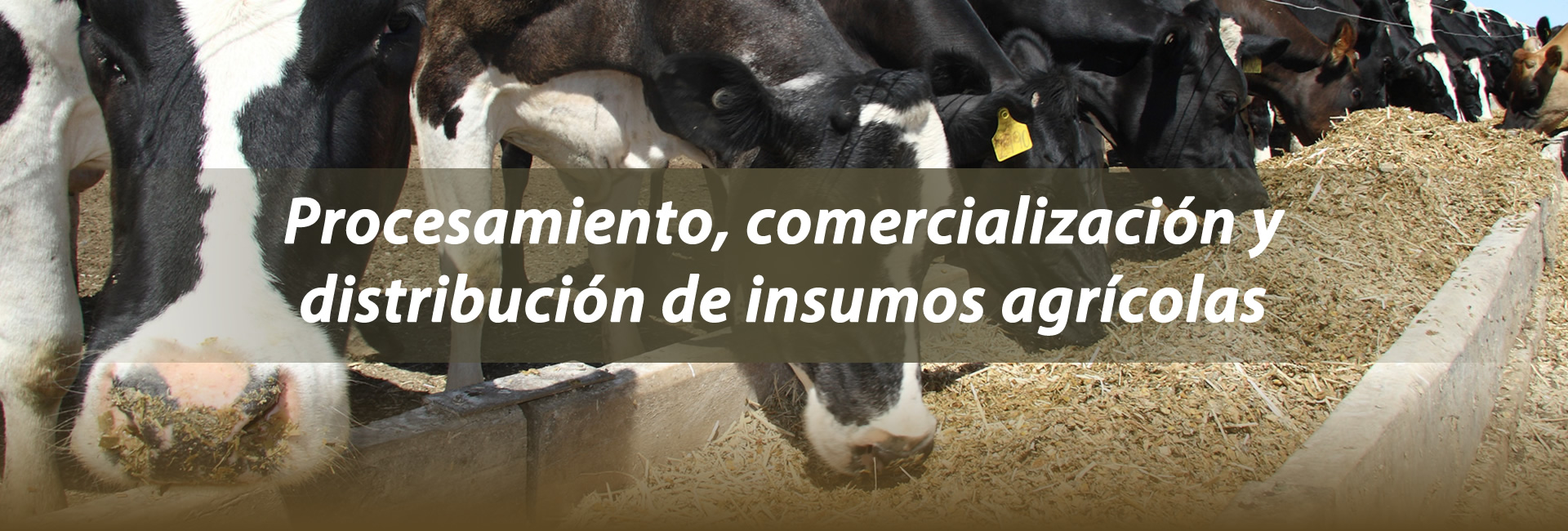 Procesamiento, comercialización y distribución de insumos agrícolas   