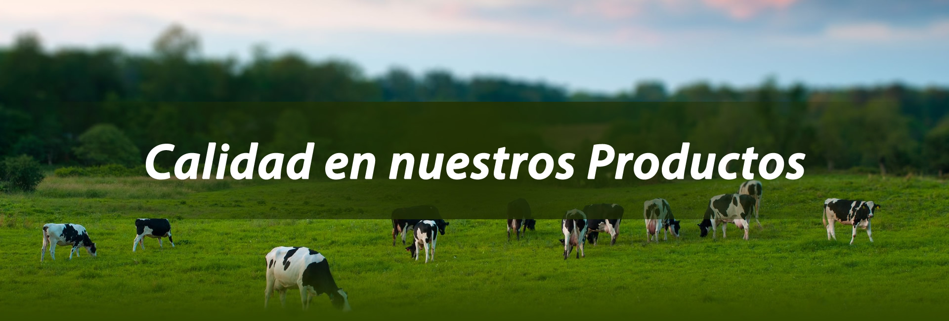 Calidad en nuestros productos