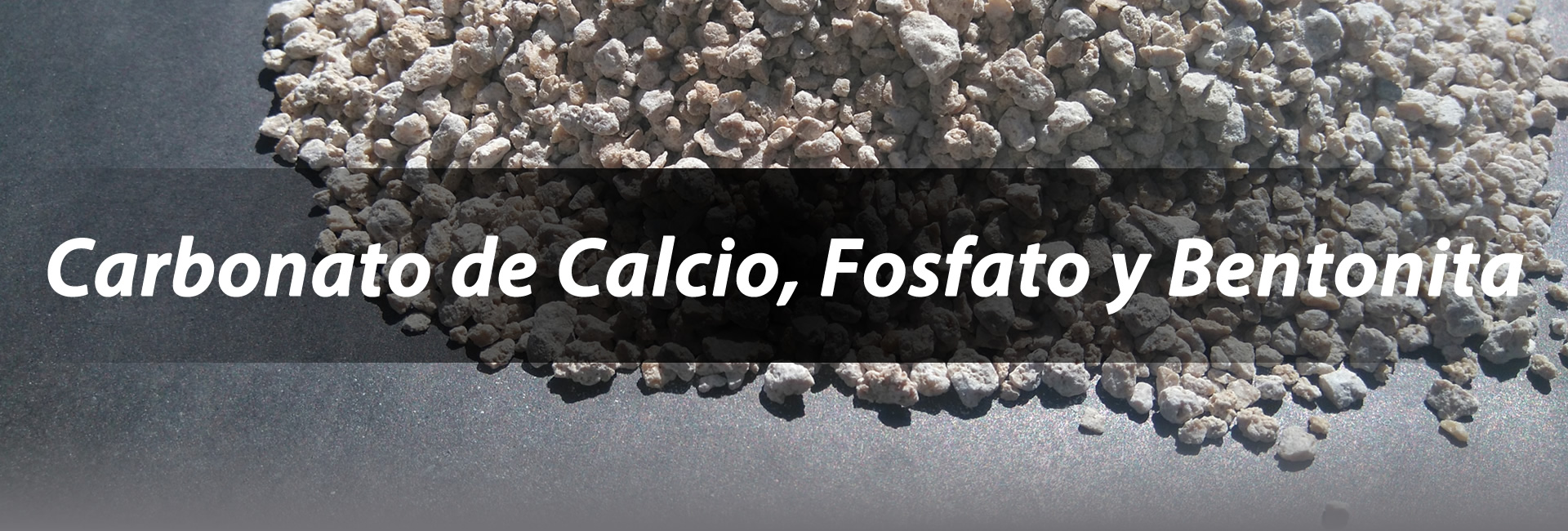 Carbonato de Calcio y fosfato
