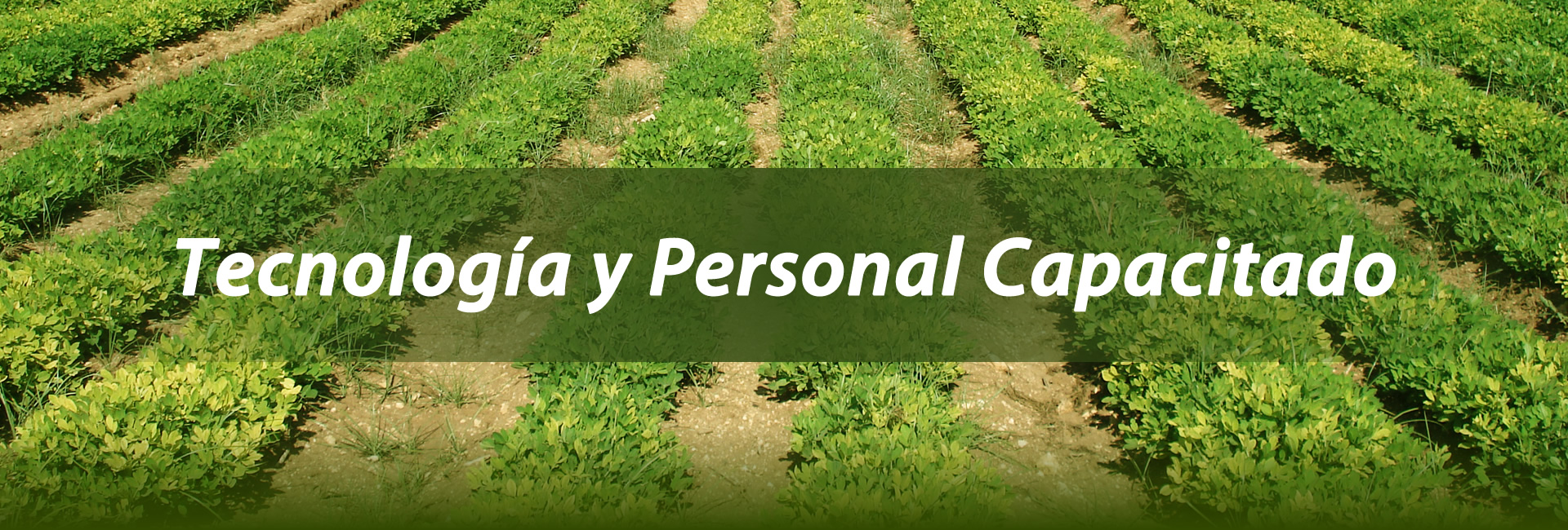 Tecnología y personal capacitado